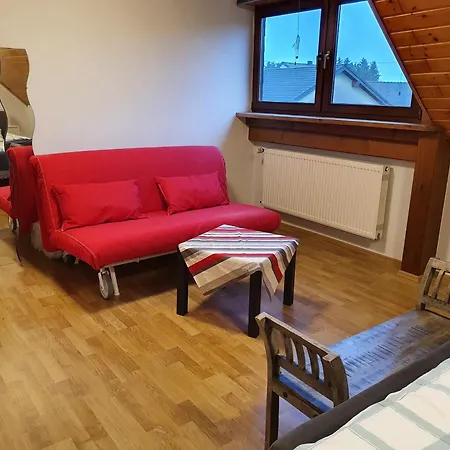 Ferienwohnung Meuspath Appartamento *